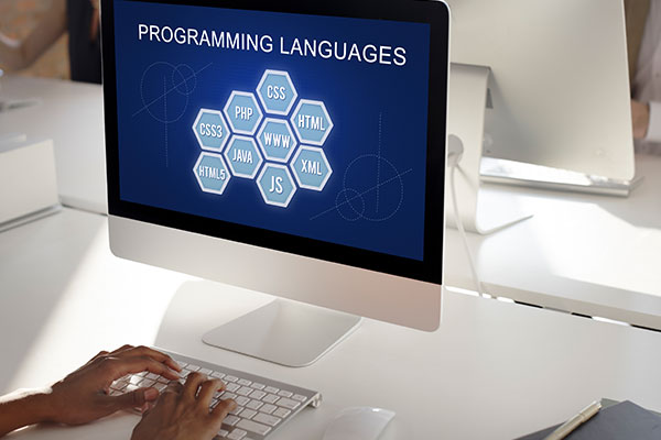 Multiple Language Website Development